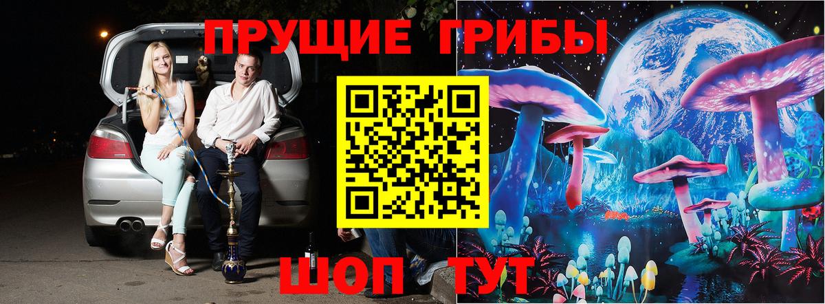 продажа наркотиков  Вход с VPN  Псилоцибиновые грибы Psilocybe  Лениногорск  Псилоцибиновые грибы мицелий 